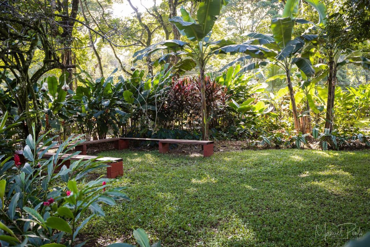 Puerto Viejo de Talamanca Puerto Viejo Club, Villas & Pool מראה חיצוני תמונה