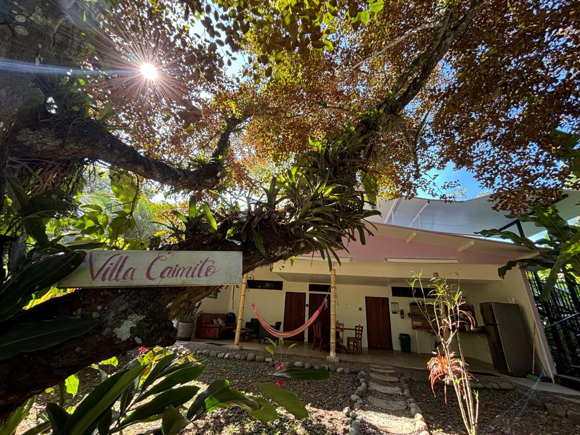 Puerto Viejo de Talamanca Puerto Viejo Club, Villas & Pool מראה חיצוני תמונה